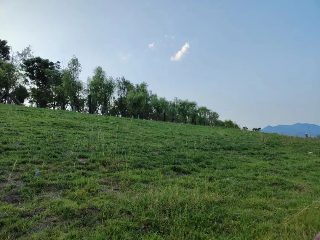 我的自画像独一无二,我的自画像范例