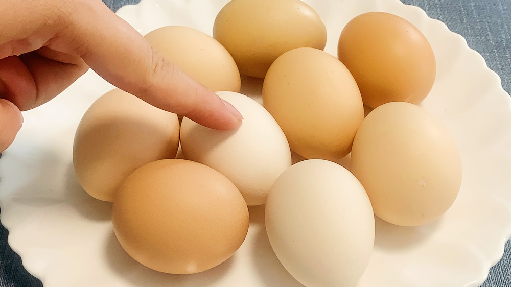 人造蛋与土鸡蛋怎样区别,怎么区别人造蛋和鸡生蛋
