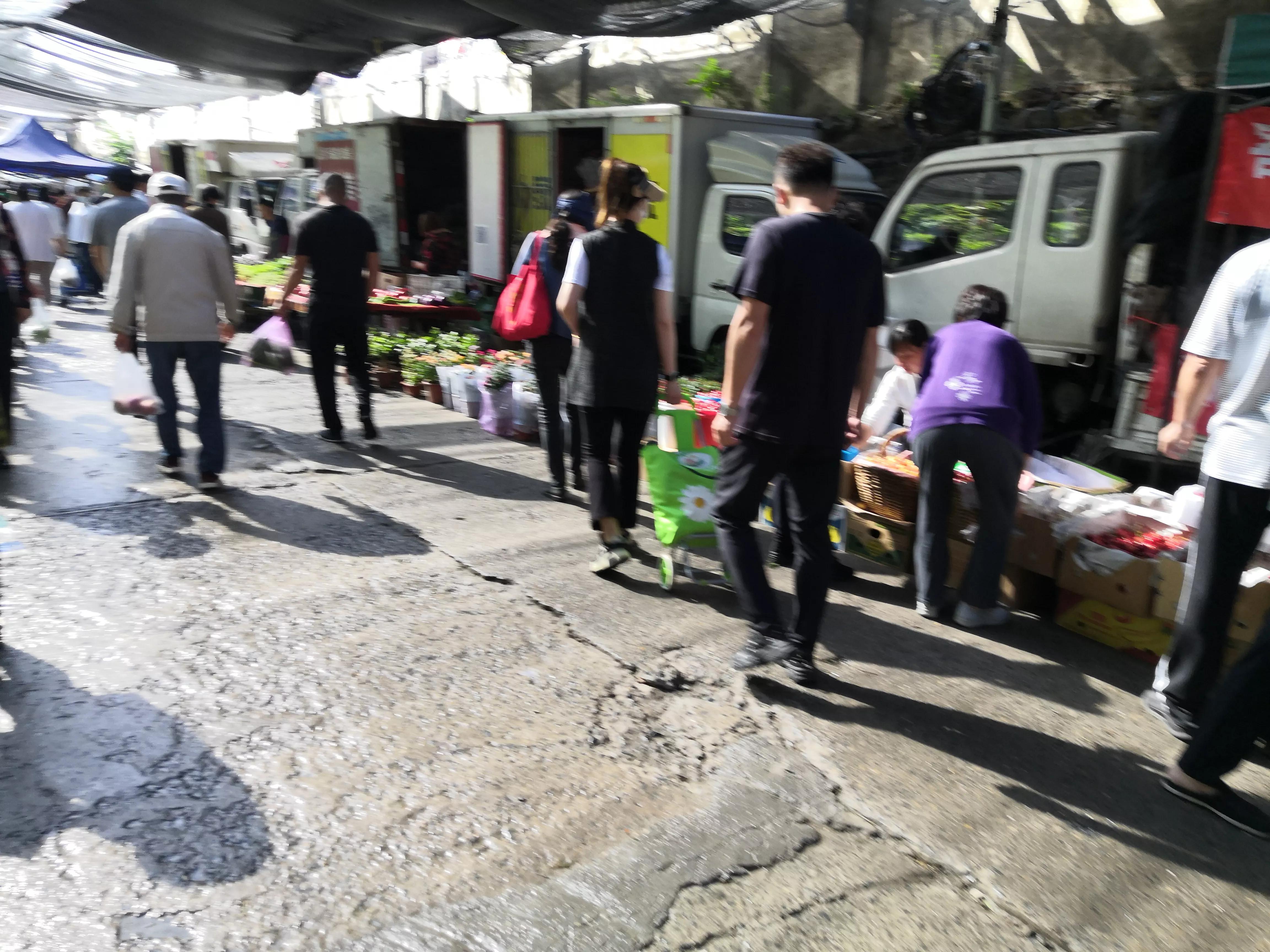 夜来风雨声花落知多少搞笑改编,夜来风雨声花落知多少的赏析