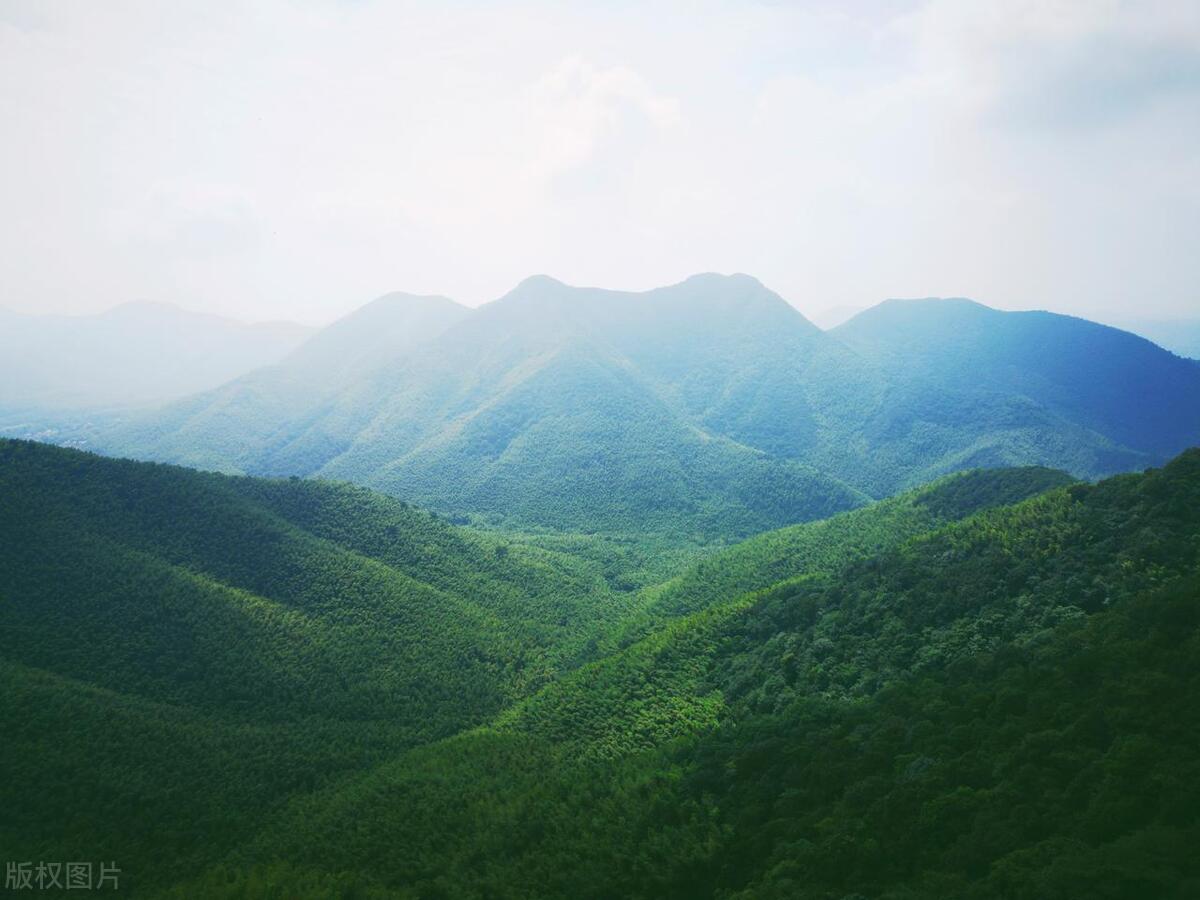 美丽中国之江苏,天目湖南山竹海美景