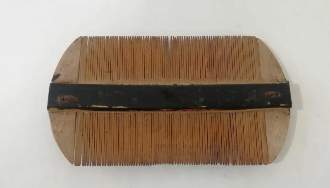 比人古老的生物,30年前虱子为什么频繁出现