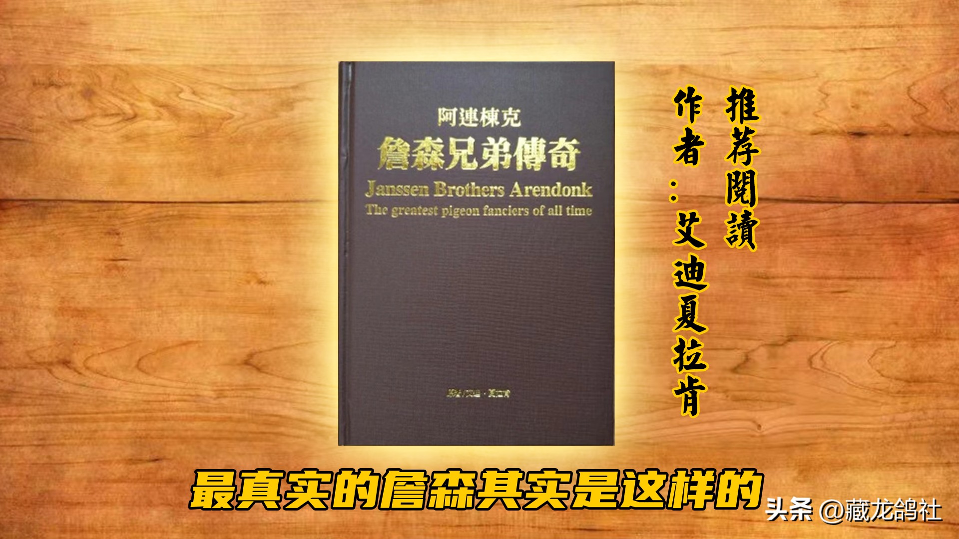 西翁鸽有多厉害,西翁顶级种鸽图
