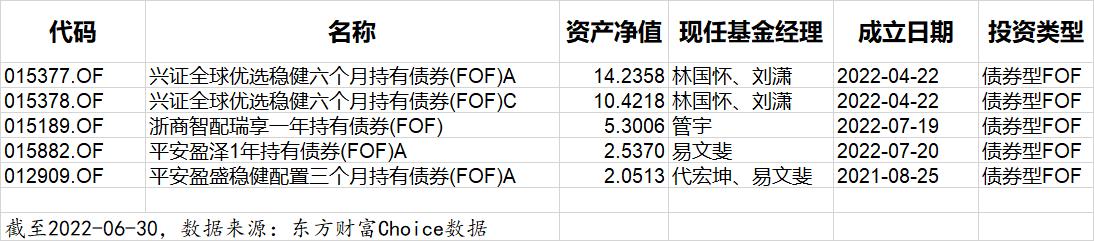 如果只买一只基金哪一个最值得买,110005这个基金可以长期持有吗