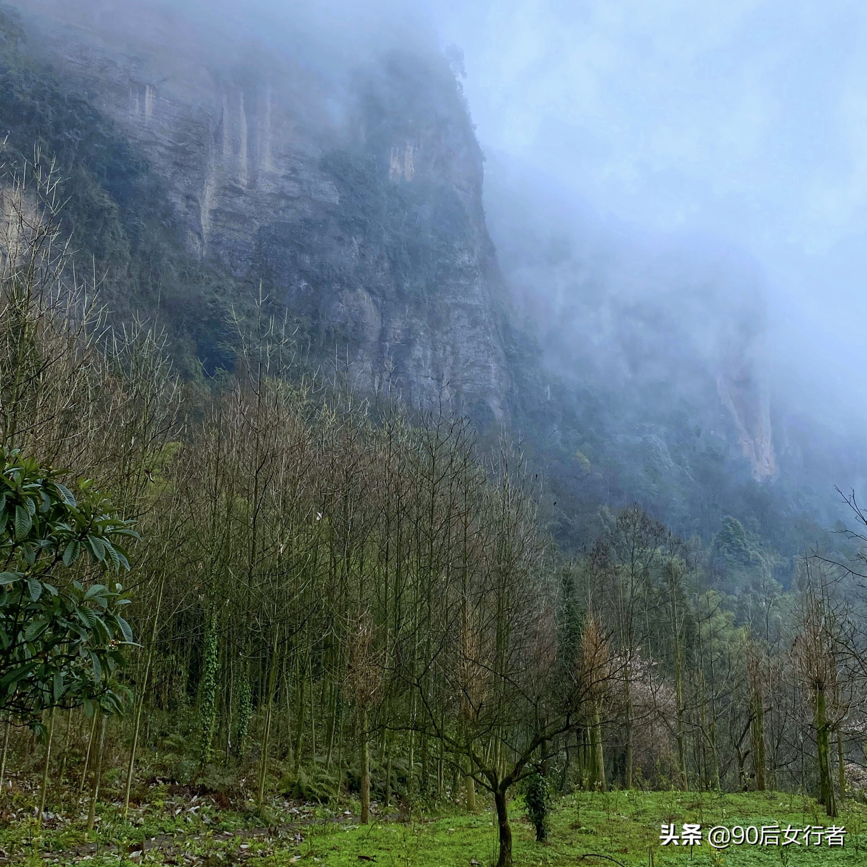 下雨天去拜访师傅合适吗,雨天去青城山