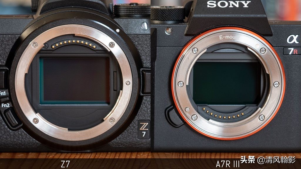 拍鸟用尼康d6好还是z7ii好,拍鸟买r6还是r5