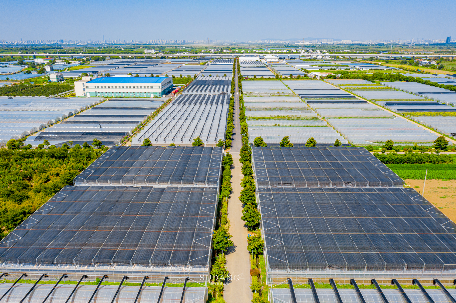 苏州吴江区六大名镇,苏州吴江最有发展区是哪里