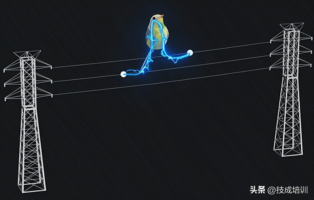 为啥小鸟站电线上为啥不会被电？但人一碰就会被电抽搐？