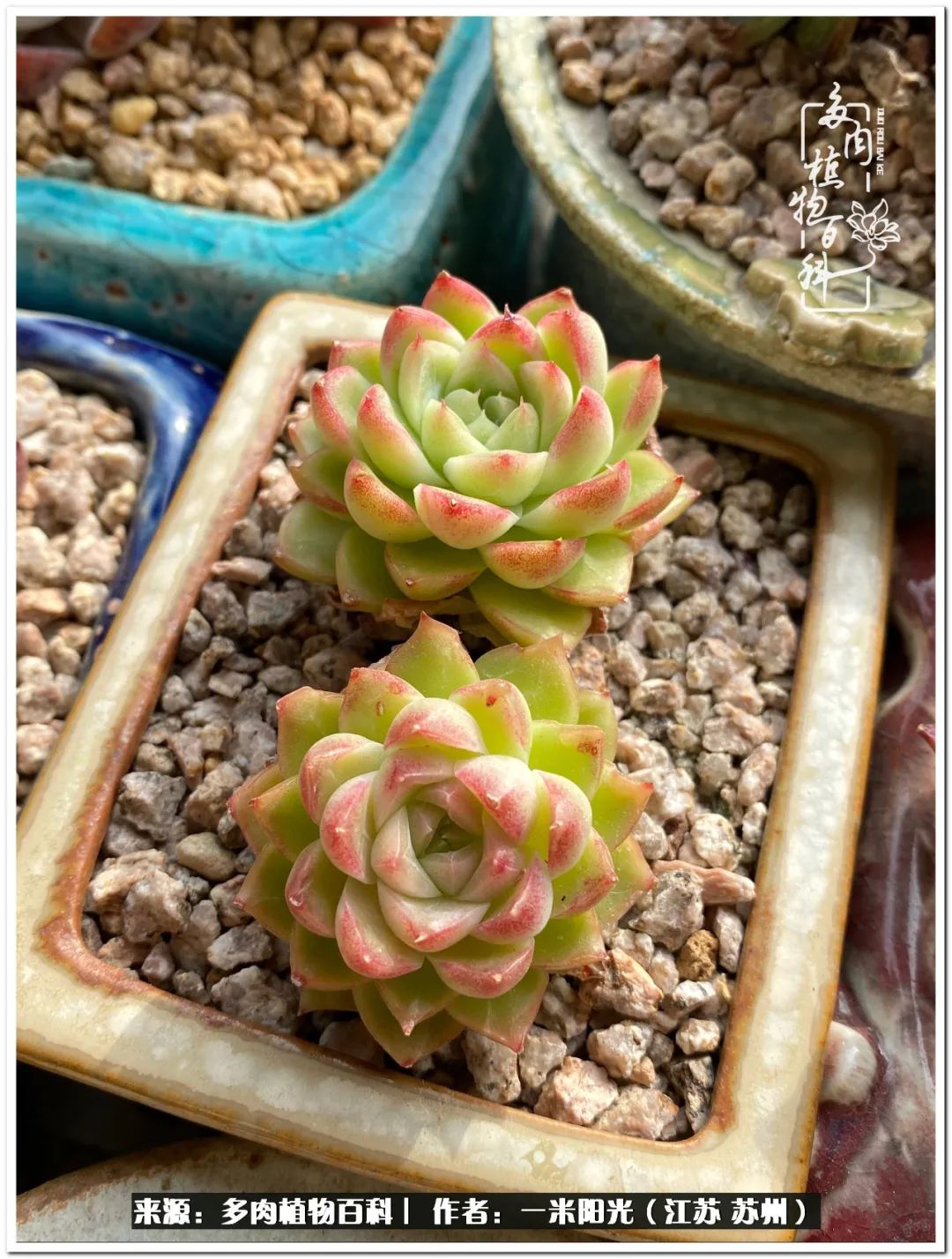 幸福就是珍惜当下所拥有的,珍惜当下所拥有的才是幸福的