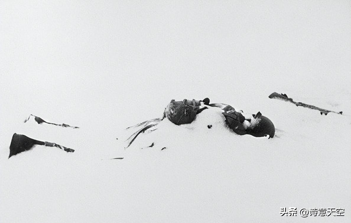 日军暴行老照片真实,日军的暴行真实老照片