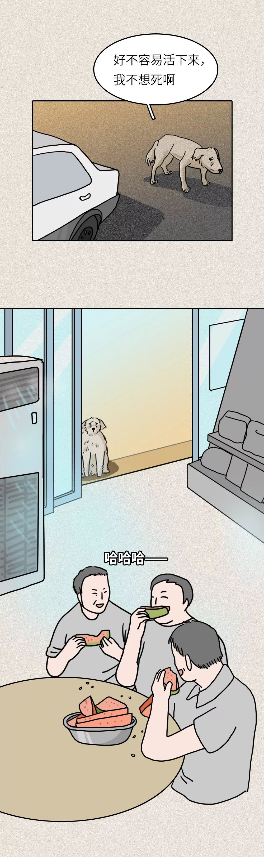 救救我36关怎么过,一只流浪狗自述