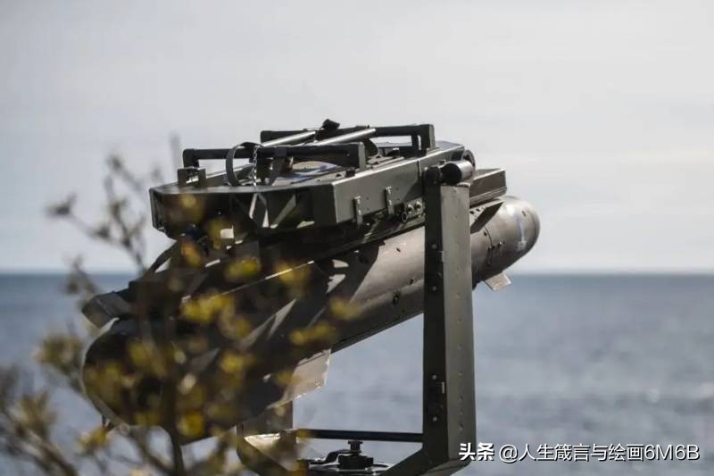 瑞典反舰导弹RBS-17用于乌克兰