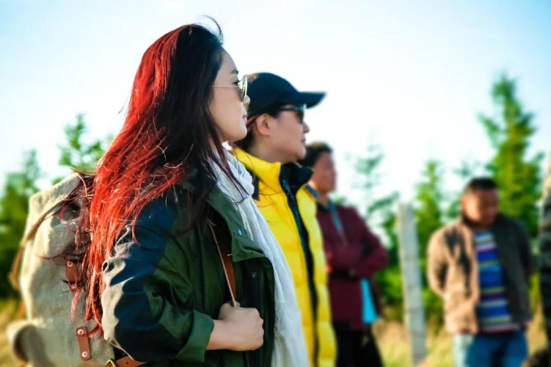 凤凰传奇这几年唱火的歌,凤凰传奇唱的歌到底有多好