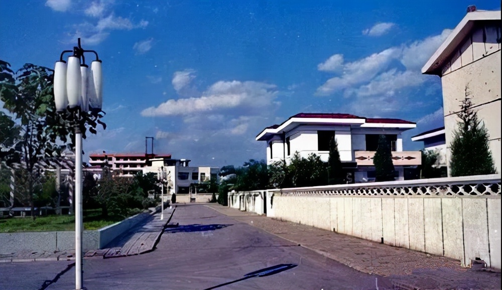 天津大邱庄房价,天津大邱庄禹作敏