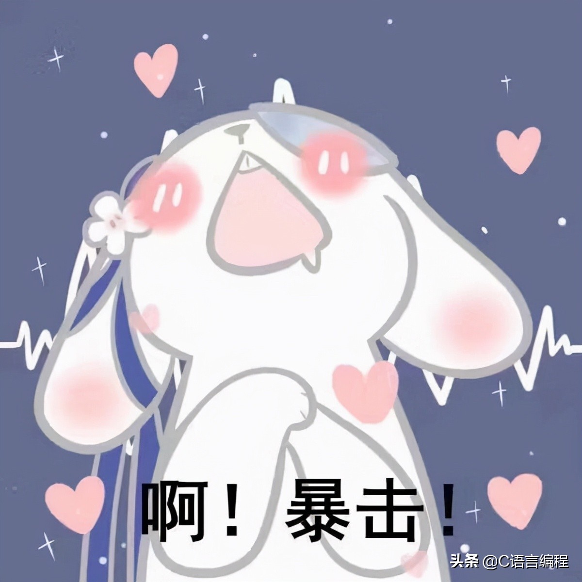 合租学妹傍晚求问：有什么编程网站能让她偷偷变强？离谱