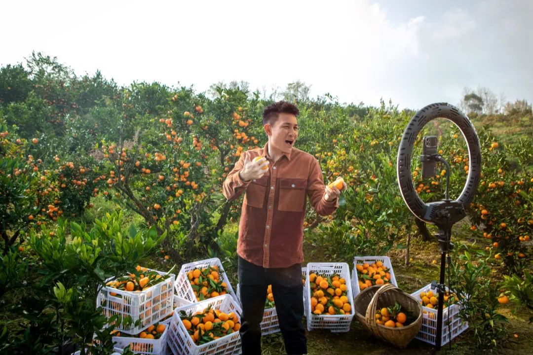 当红主播露露,主播露露个人资料