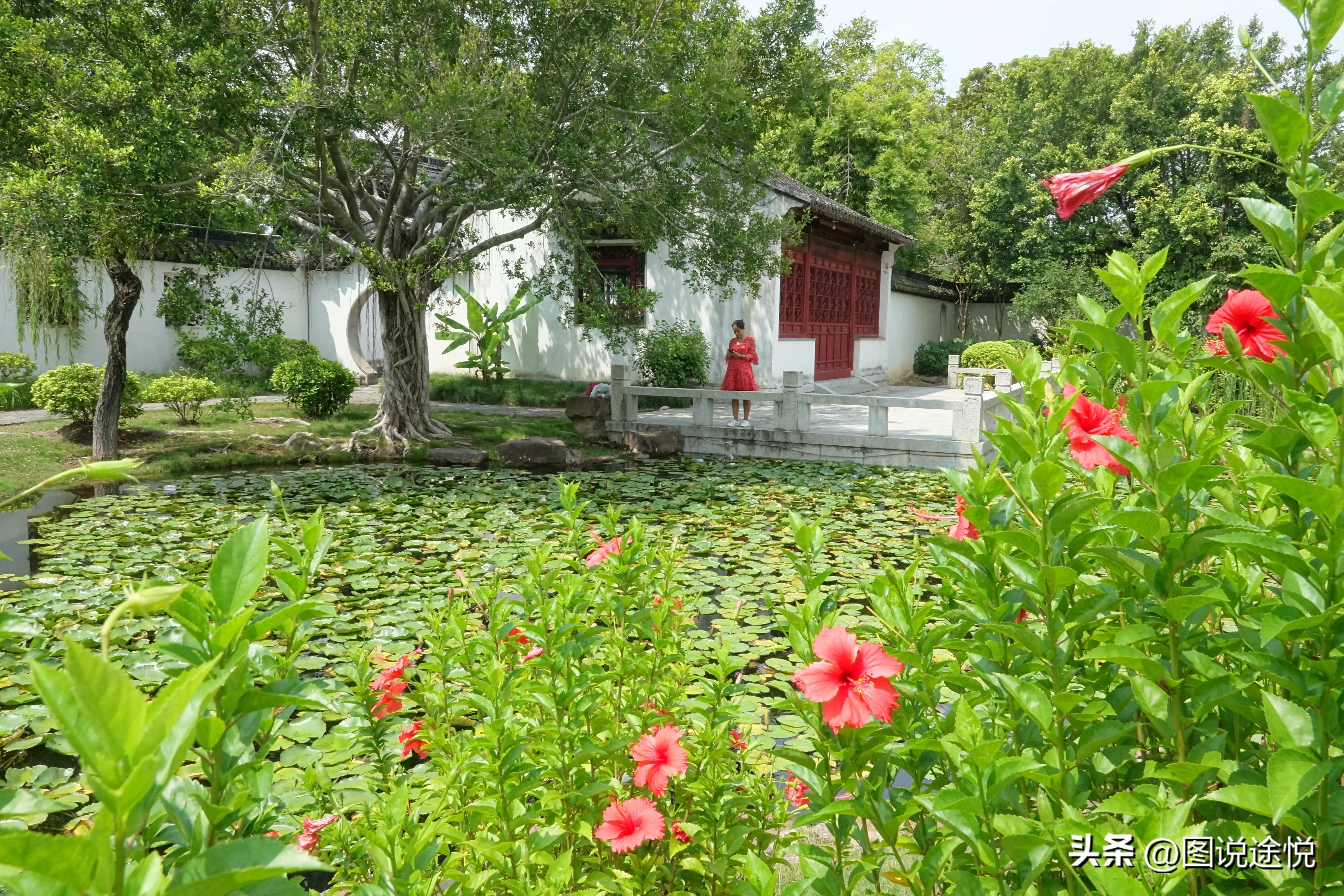 厦门园博苑有哪些风景,厦门园博苑海上大观园