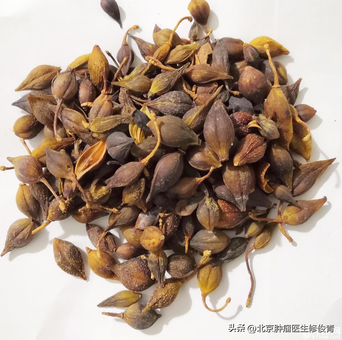 黄芪抗癌汤做法大全,著名中医钱乙的黄芪汤配方