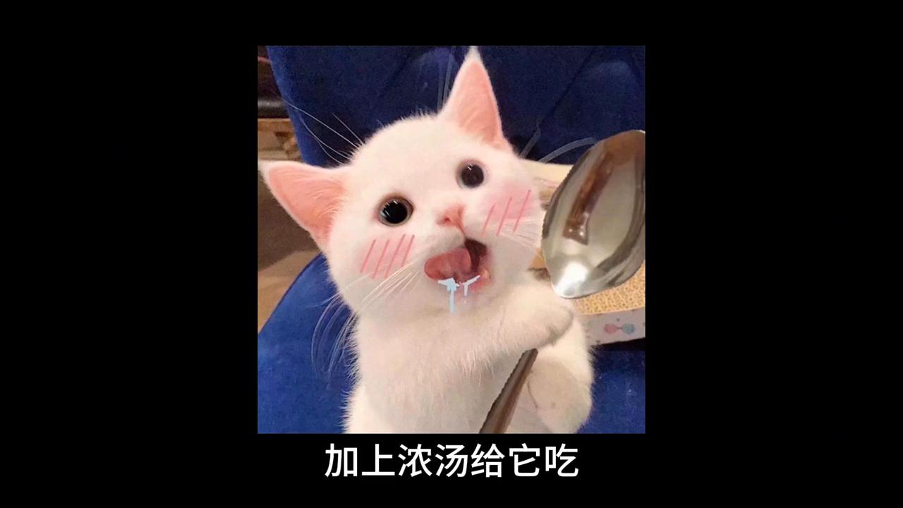 养猫后慢慢讨厌猫怎么办,养猫久了会讨厌狗吗