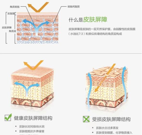 皮肤干燥容易痒用什么药膏,皮肤干燥容易痒是怎么回事