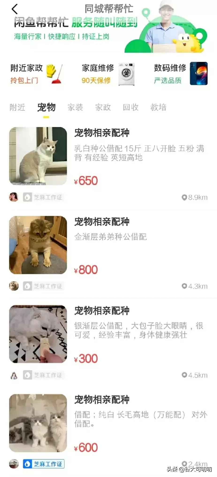 去哪里找看病陪诊的兼职上海,上海医院陪诊服务兼职靠谱吗