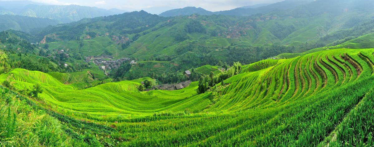 广西梯田龙脊梯田,龙脊梯田世界一绝美不胜收