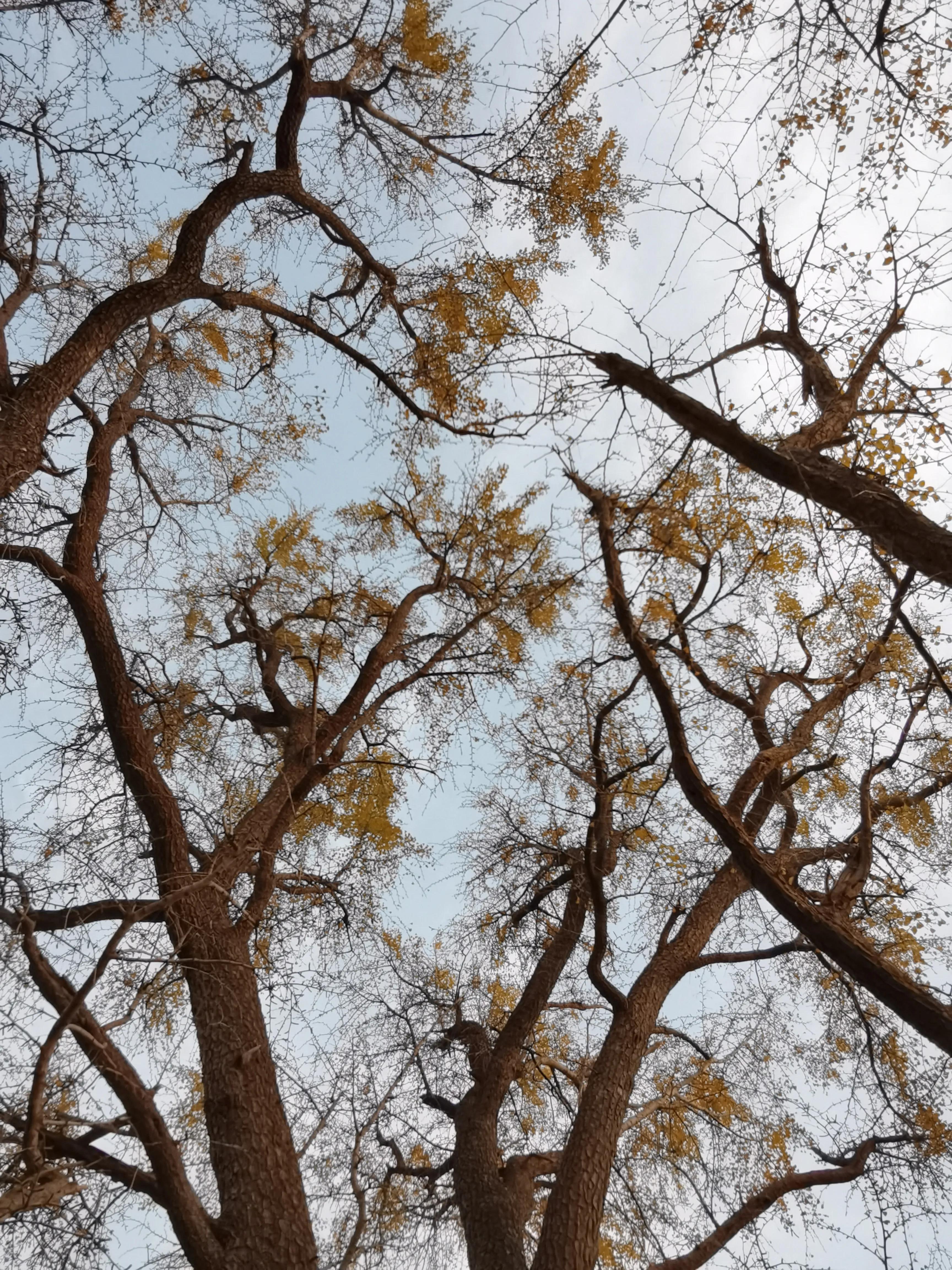 绝壁大梯白云寺,徒步白云寺