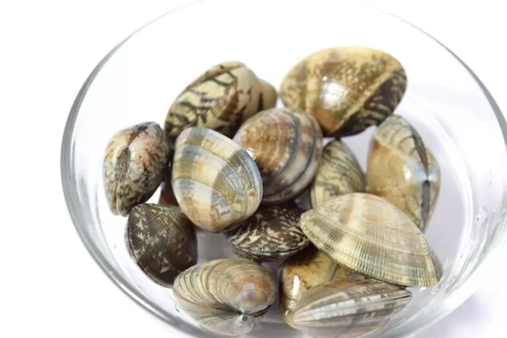 蛤蜊怎么保存到第二天吃,蛤蜊怎么在家保存