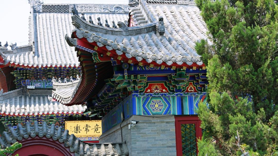 养狗人的视频,养狗人皮肤过敏的症状和表现