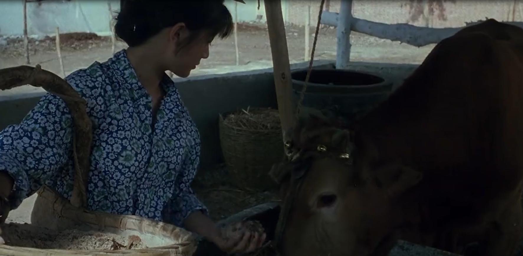 人性与欲望交织的*理片伦**，男人娶了村长的女儿，婚后让她独守空房