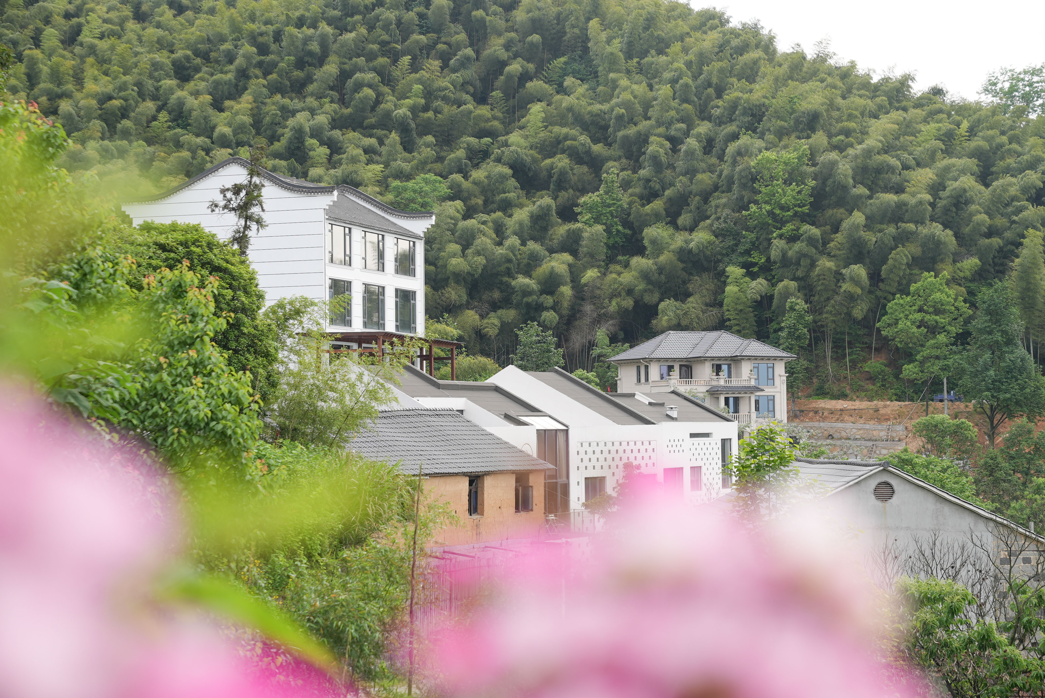 桐庐乐水阁精品民宿住宿团购,桐庐大奇山民宿排名前十名