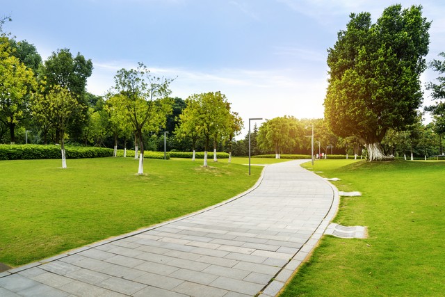 被爸妈逼着去相亲最后选择妥协了,父母逼着和相亲对象在一起怎么办