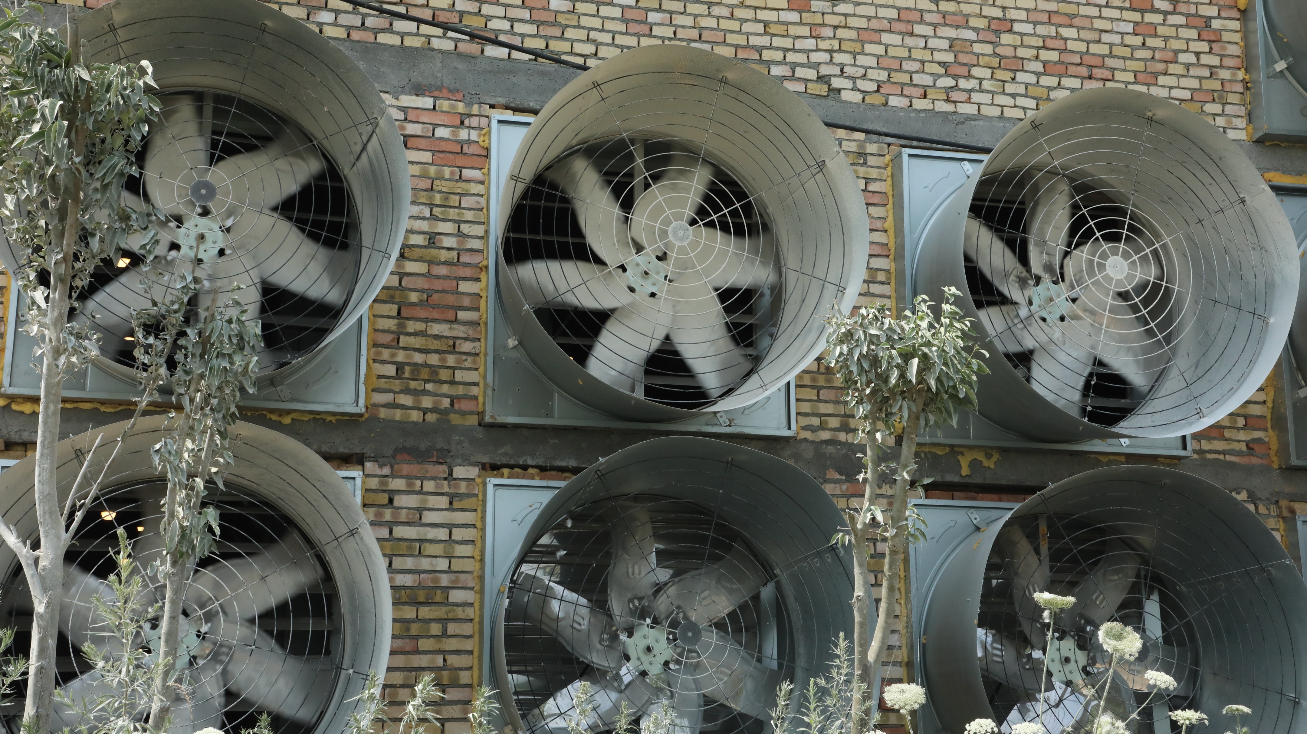 鸡高温中暑多少时间能够康复,夏天鸡高温中暑要用什么药