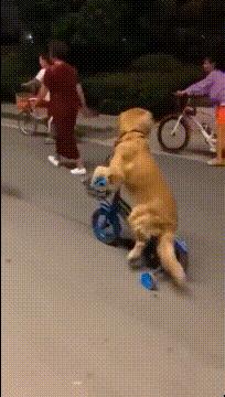 女孩子看起来外表美丽，其实裤袜已经掉到大腿根了！哈哈哈