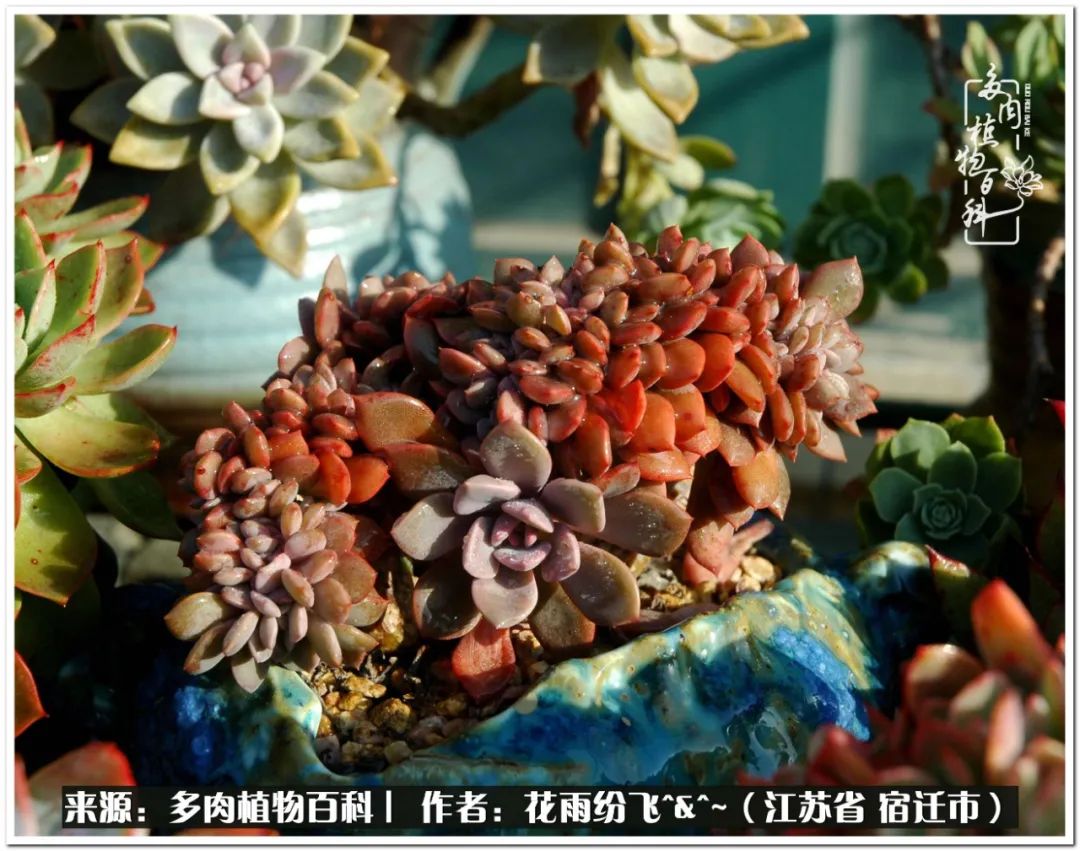 快乐的童年时光视频,回味快乐的童年美好的时光