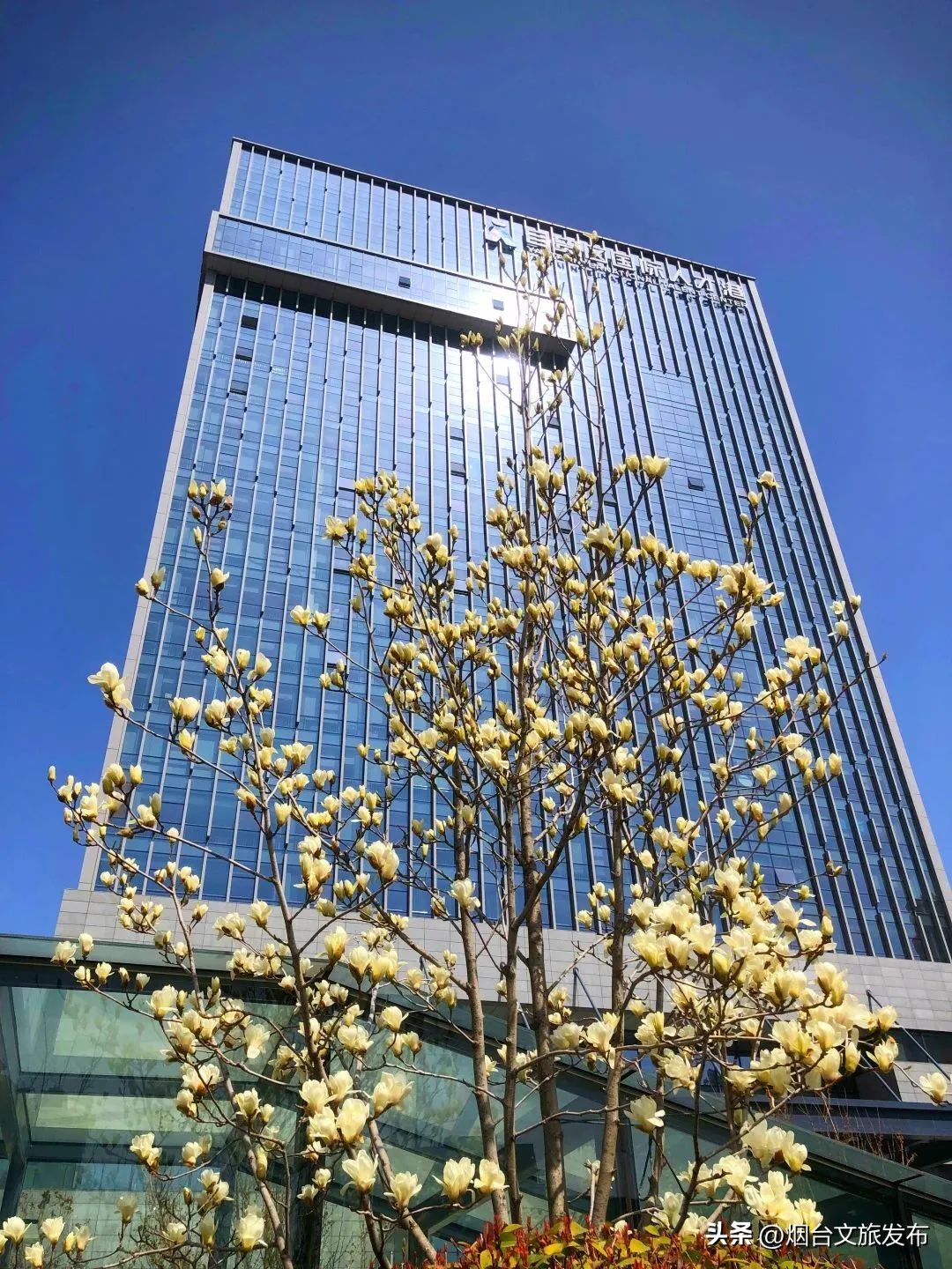 吃遍烟台玩遍美景,带你玩遍烟台