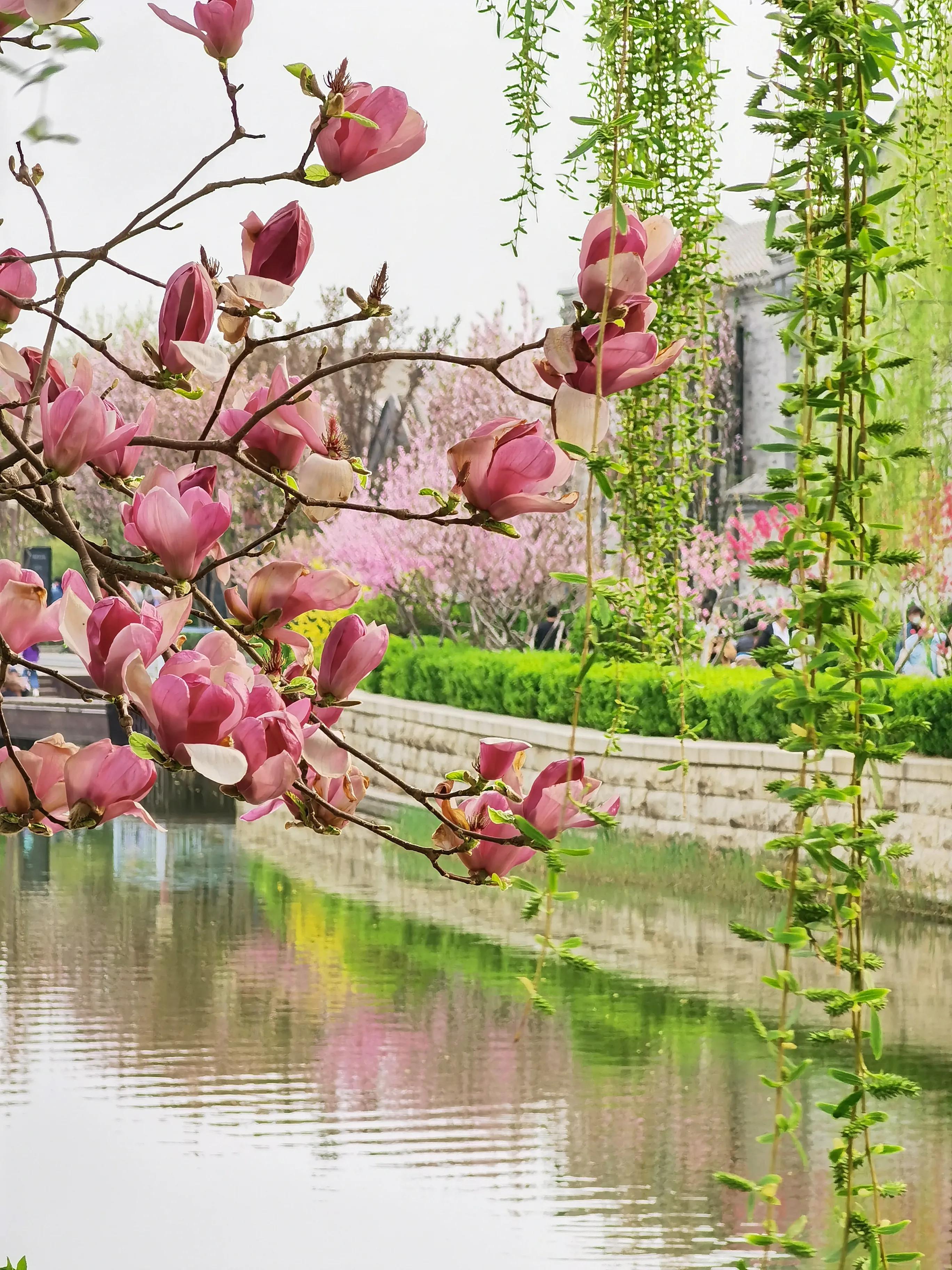 全国各地最新疫情感染高峰进度,疫情放开后有几波疫情高峰