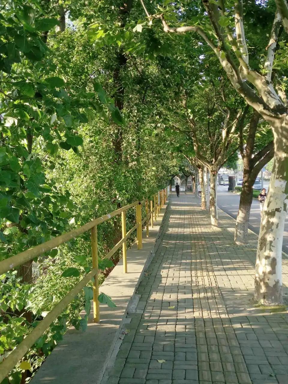 一寸光阴一寸金,一寸光景一寸金