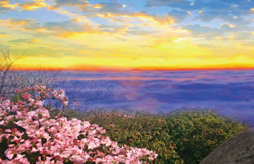 letsgo一周目图文攻略,letsgo图鉴攻略