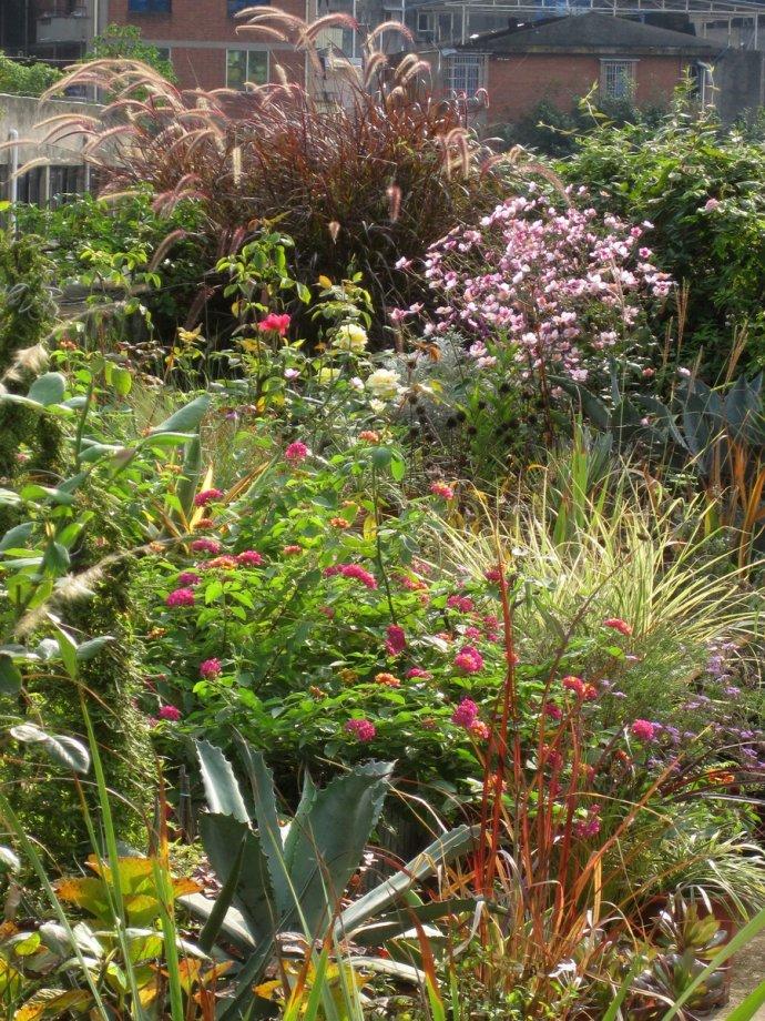 我的生活感悟4条，句句实话实说