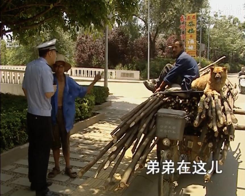 10年代中国综艺巅峰,10年前的国产恋爱综艺