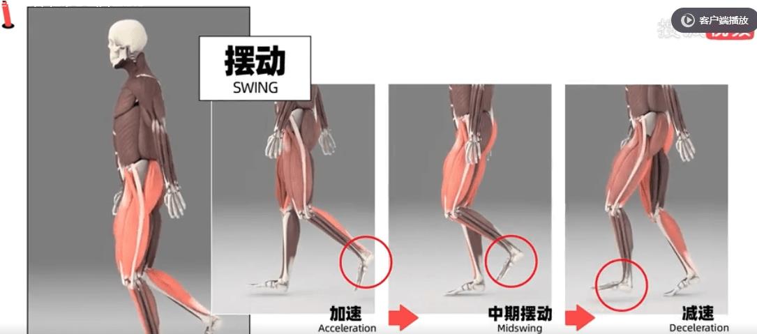 鞋带总散开是什么意思,鞋带总是散开应该怎样系
