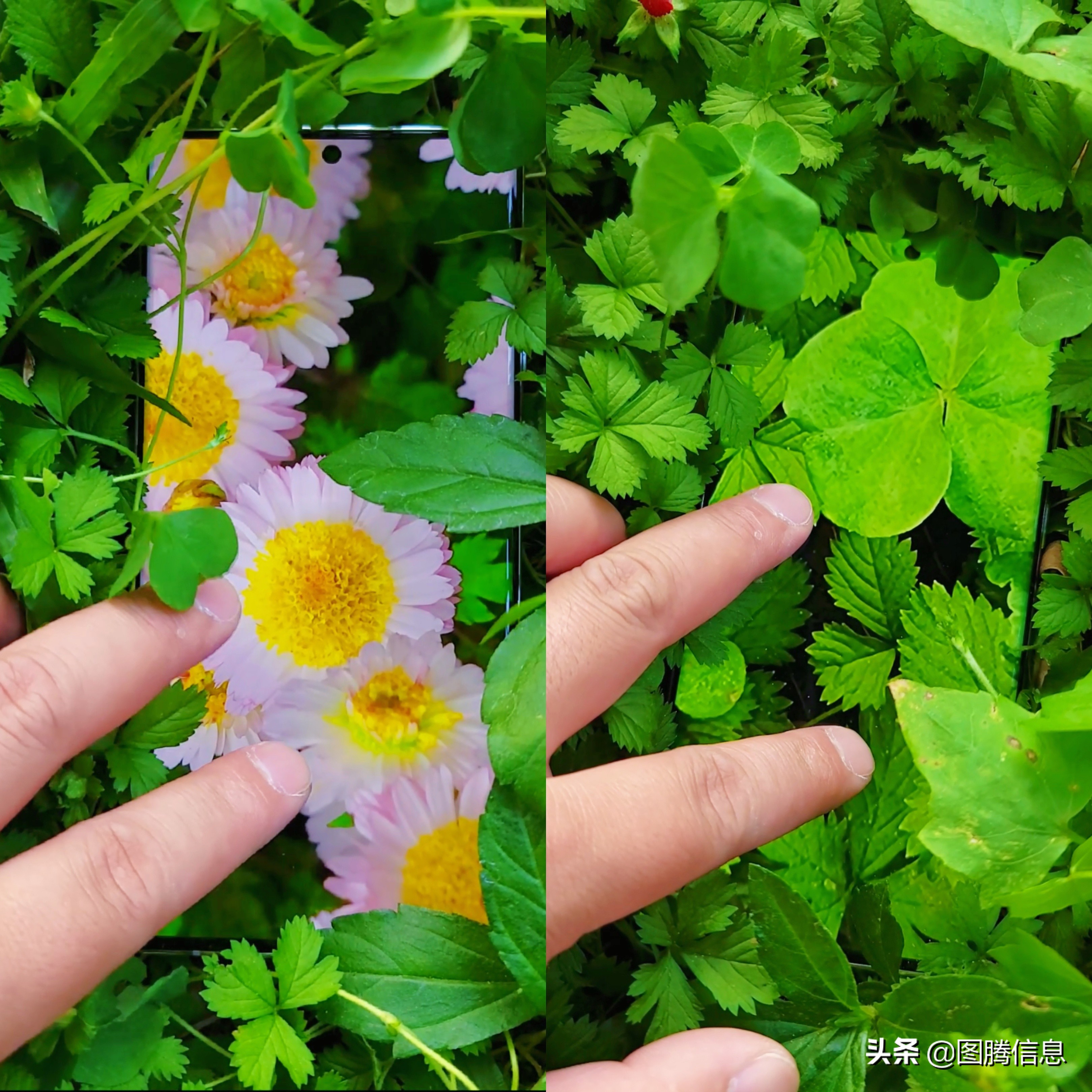 三星s22u你会为颜值买单吗,现在三星s22u还值得买吗