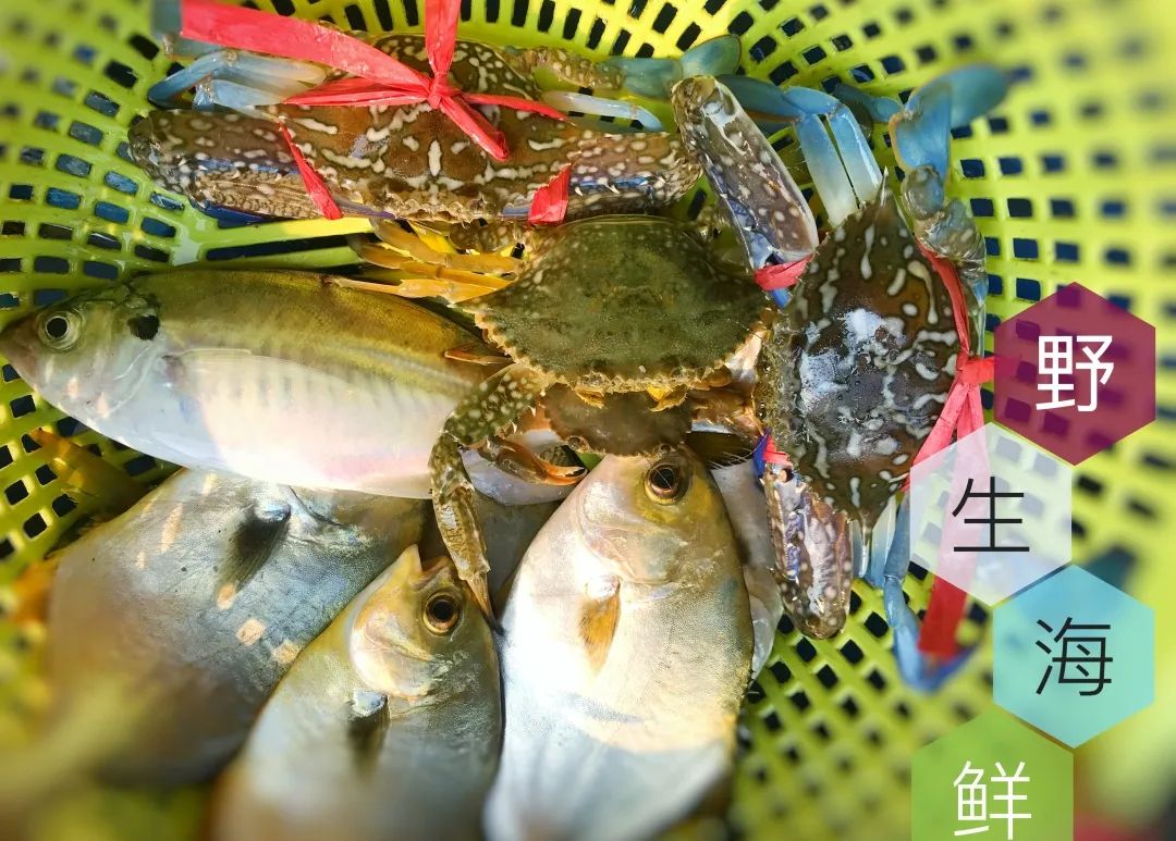 海南环岛自驾游6天住哪里,海南岛自驾性价比最高旅游攻略