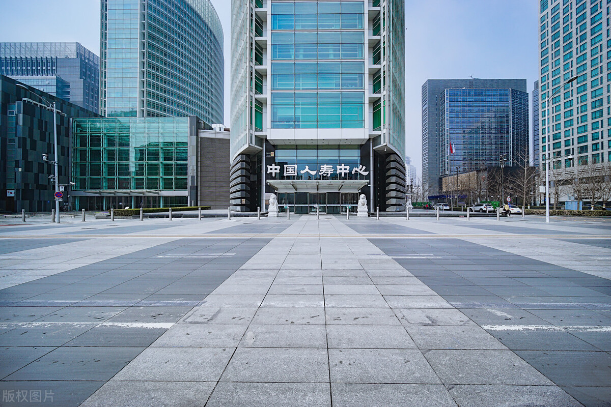 中国人寿投资的项目,中国人寿投资部