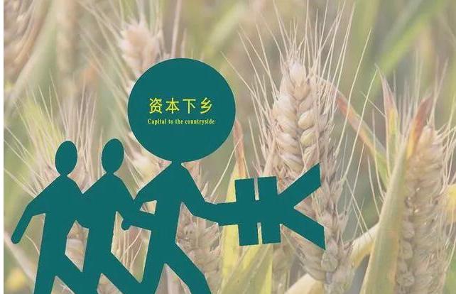 资本下乡能干什么,三农政策对三农的好处
