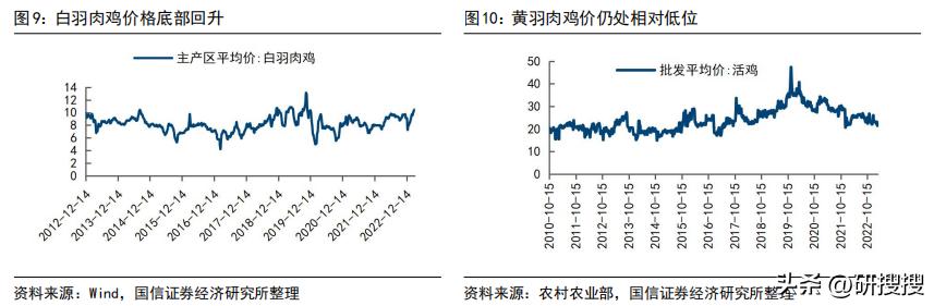农林牧渔行业分析报告怎么写,农林牧渔行业发展趋势研究
