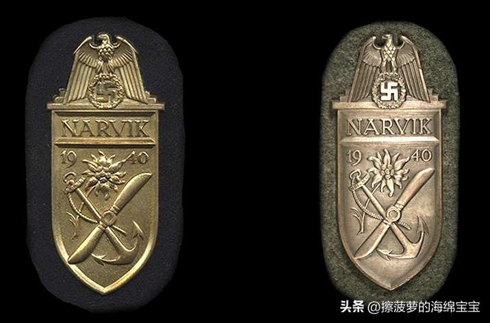 霍尔姆盾章二战德国,二战德国军奖章