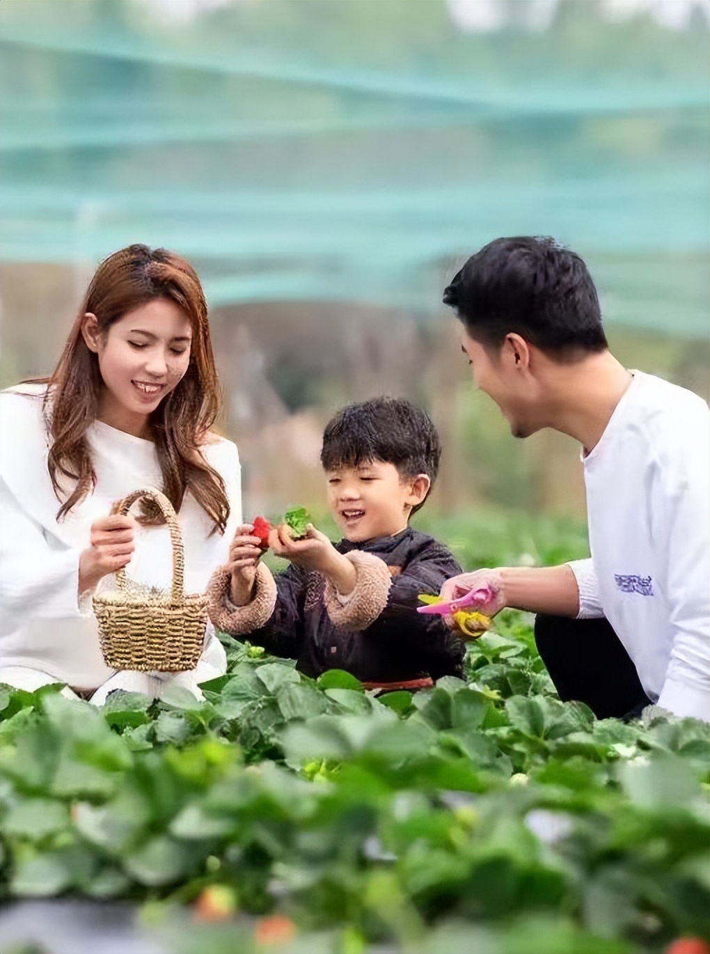 鼓浪屿可以当天预订船票攻略 (鼓浪屿还有免费的船票吗)