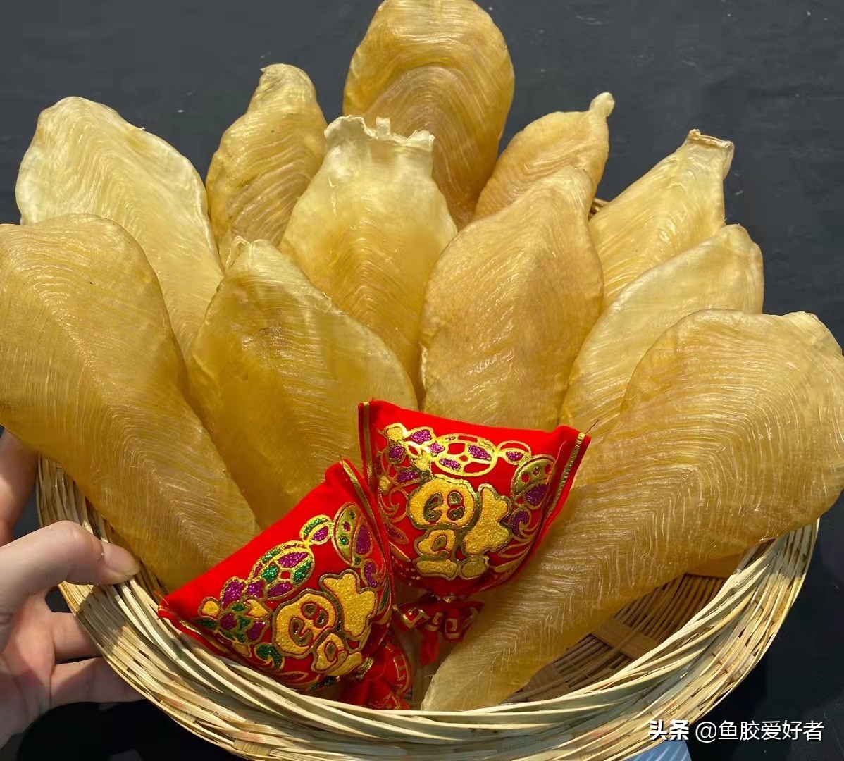 鱼胶正确的选择方法有哪些,鱼胶怎么挑选才是好的