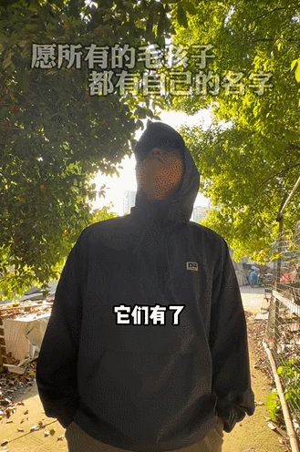 小红书如何快速提高播放量,小红书笔记一个小时点击率破千